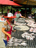 ดอยพระธาตุ อุทยานแห่งชาติลำน้ำน่าน อ.ท่าปลา จ.อุตรดิตถ์ 